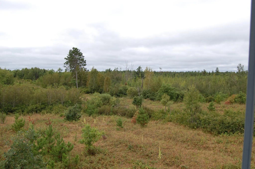 Tbd Darsnek Road, Emily