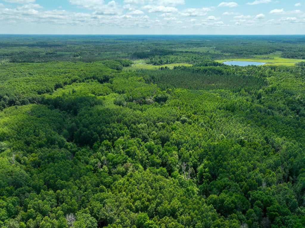 Tbd Sago 5, Swan River