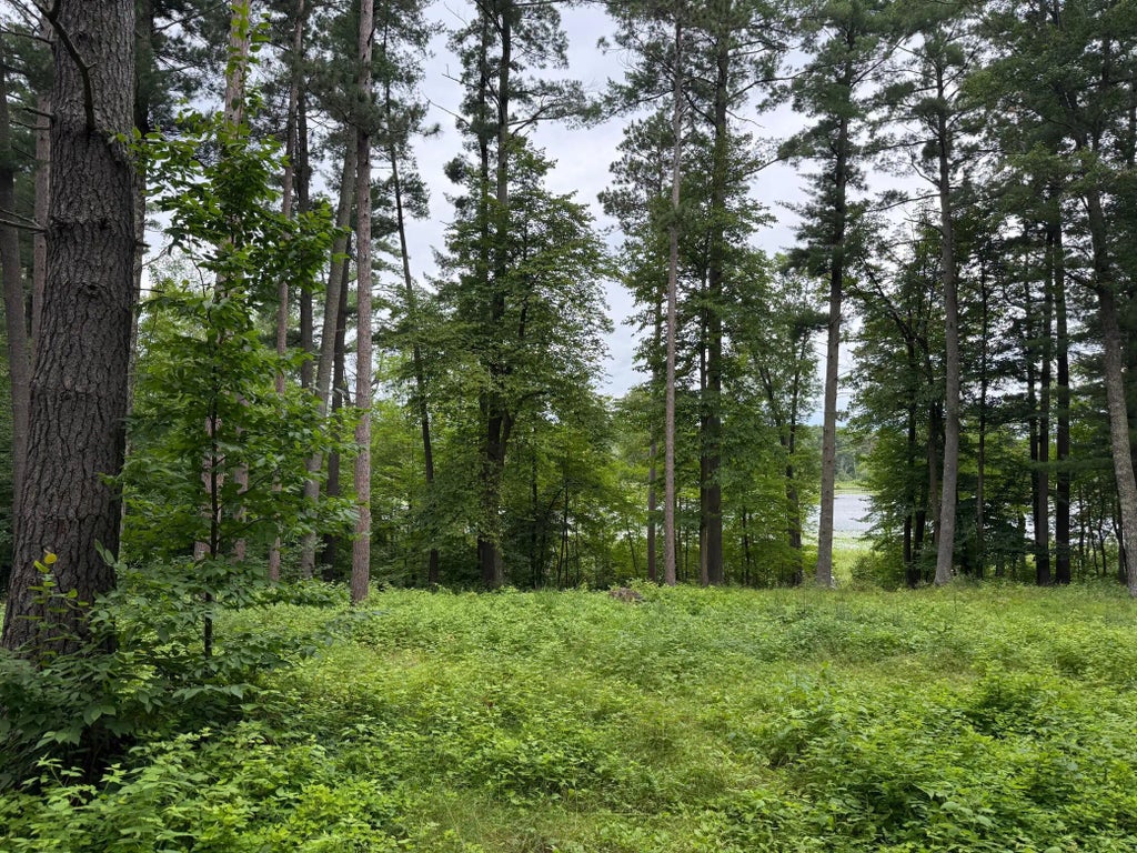 Tbd Fawn Lake Rd, Nisswa