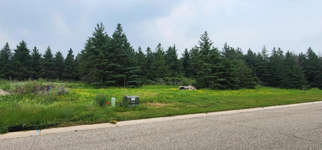 Lot 4 White Spruce Lane Nw, Alexandria