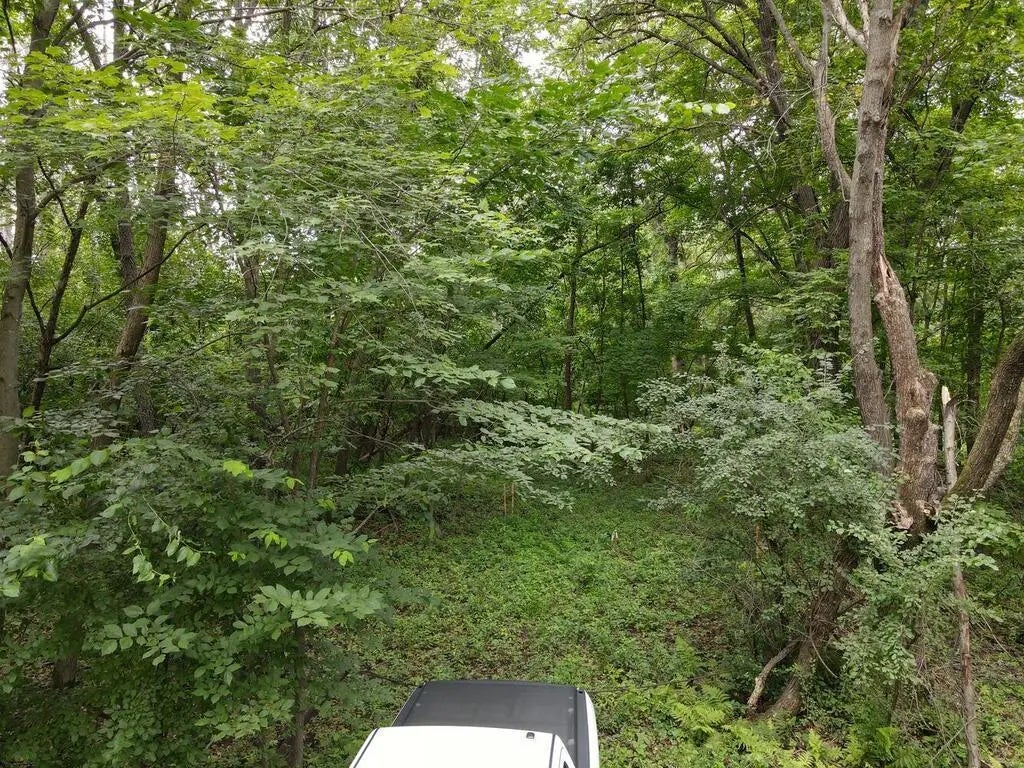 20xxx Maxwill Avenue N, Scandia