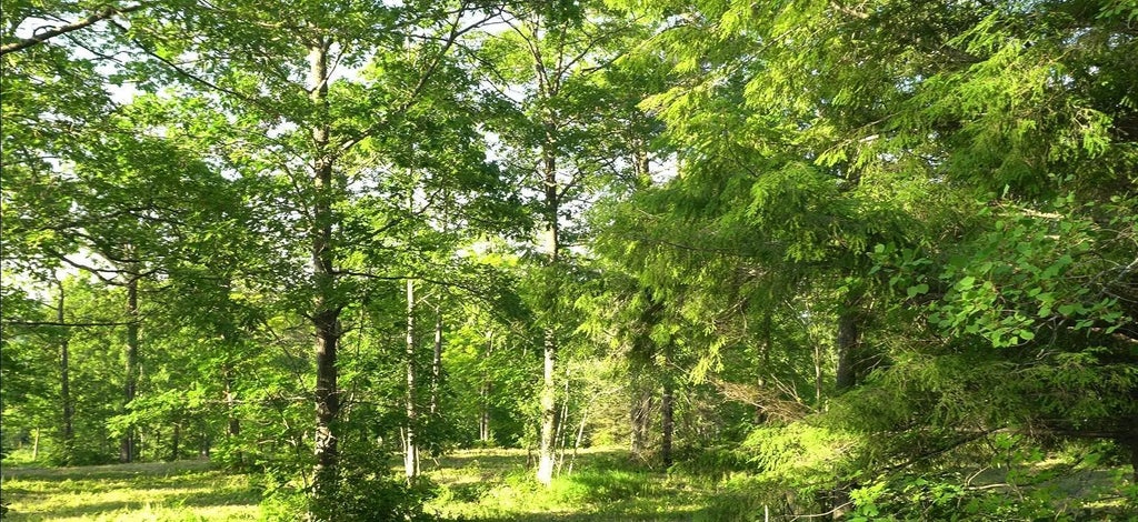 83xxx - Lot 6 Ashwabay Heights Road, Bayfield