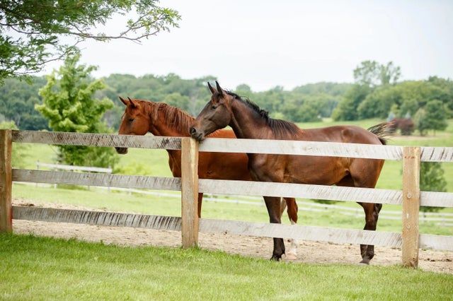 9685 County Road 13 Se, Franklin Twp