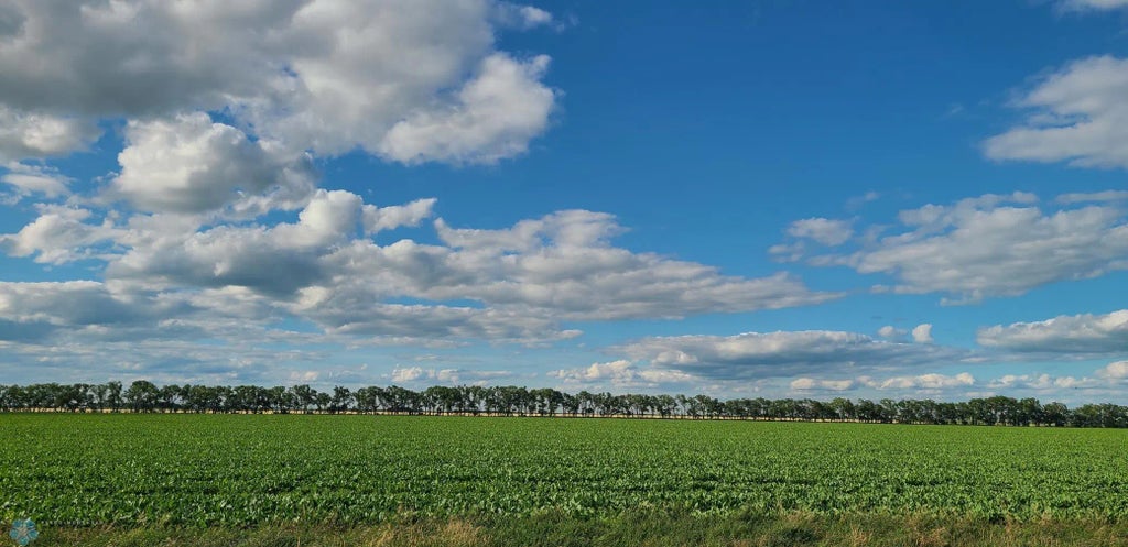 1702 110th St, Deerhorn Twp