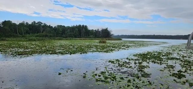 Xxxx Forthun Road, Baxter