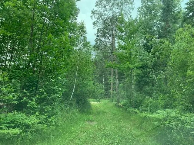 Tbd Mushgee Road, Deer River