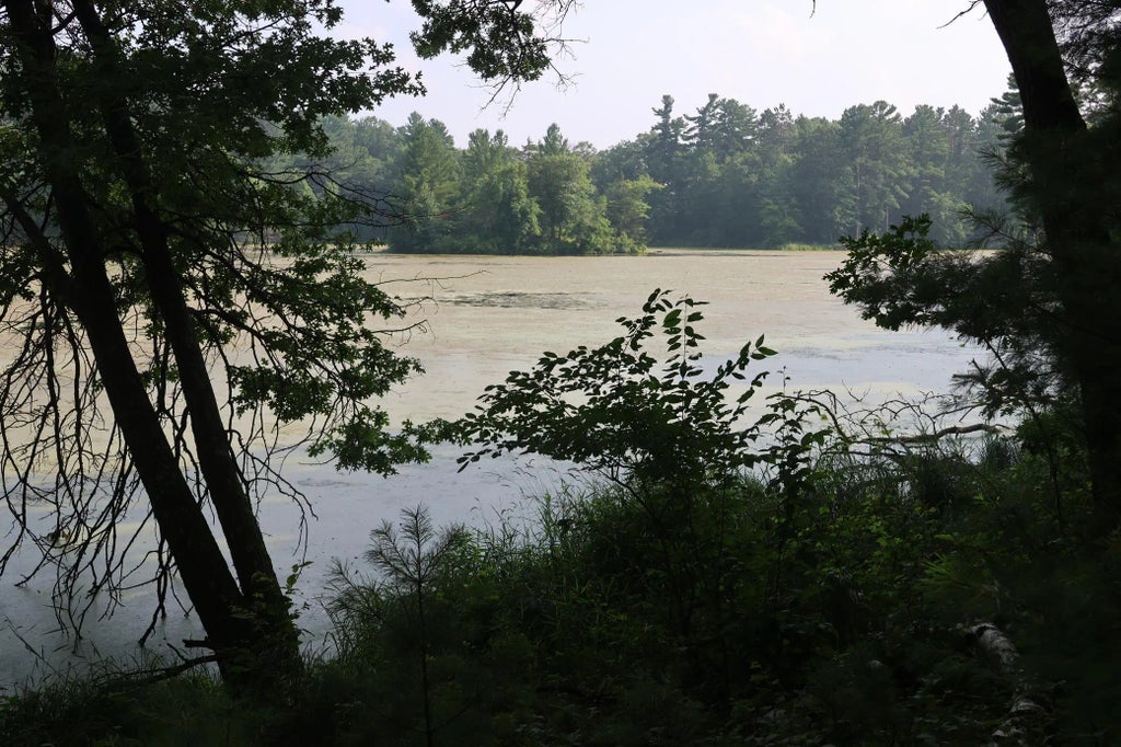 Lot 11 103rd Street, Frederic