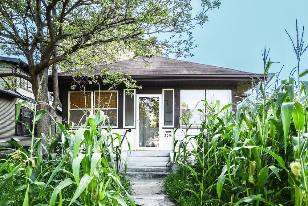 3951 17th Avenue S, Minneapolis