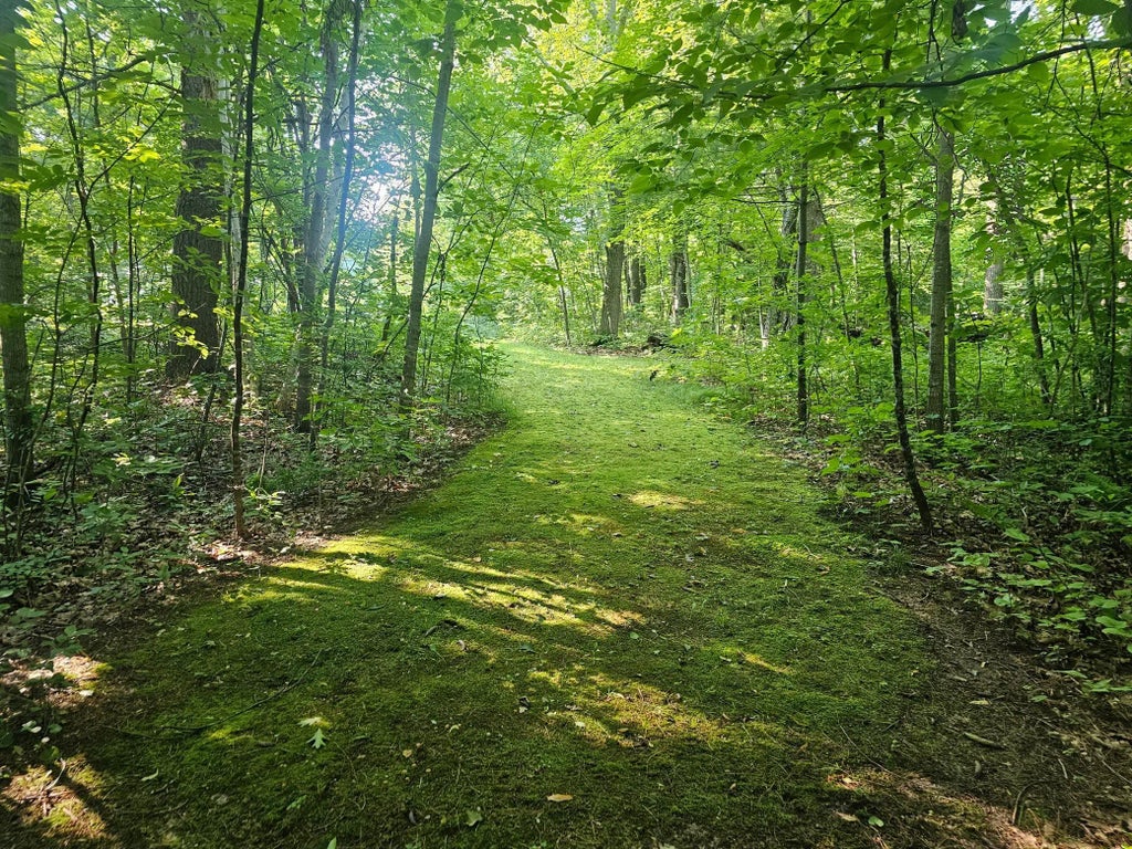 Tbd Lot 2 Bunny Lane, Crosby