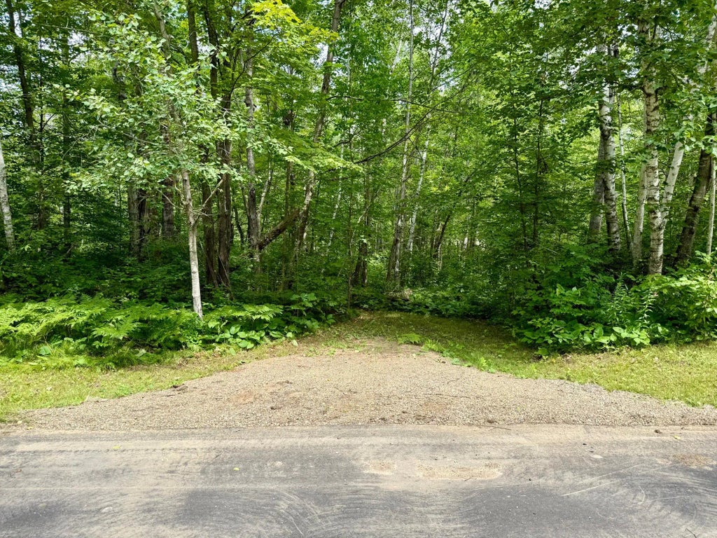 Lot 7 Block 1 Yellow Birch Ln, Emily