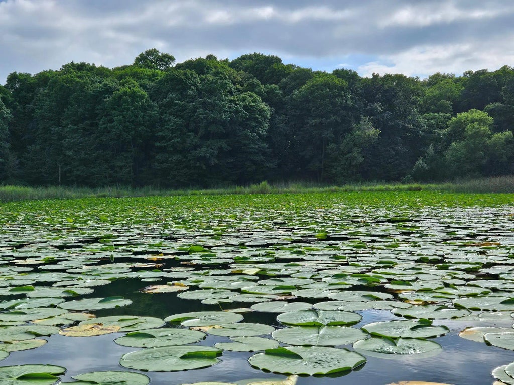 Tbd Valley Lane Sw, Farwell