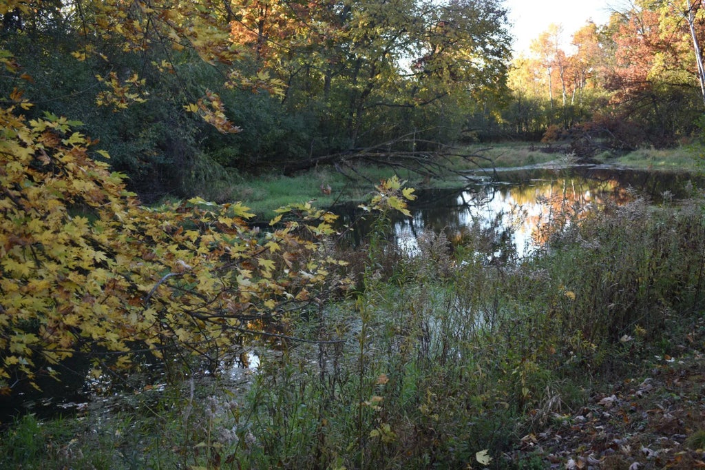 5470 Rowland Road, Minnetonka