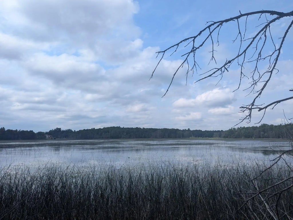 Tbd Dobosenski Road, Windemere Twp