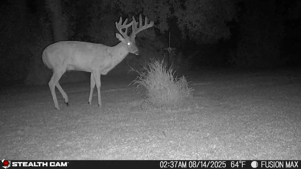 Tbd 630th Street, Claremont Twp