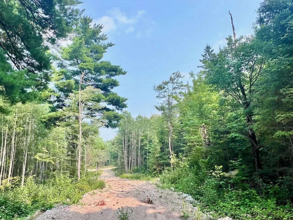 Parcel B Vermilion Lake Rd, Beatty Twp