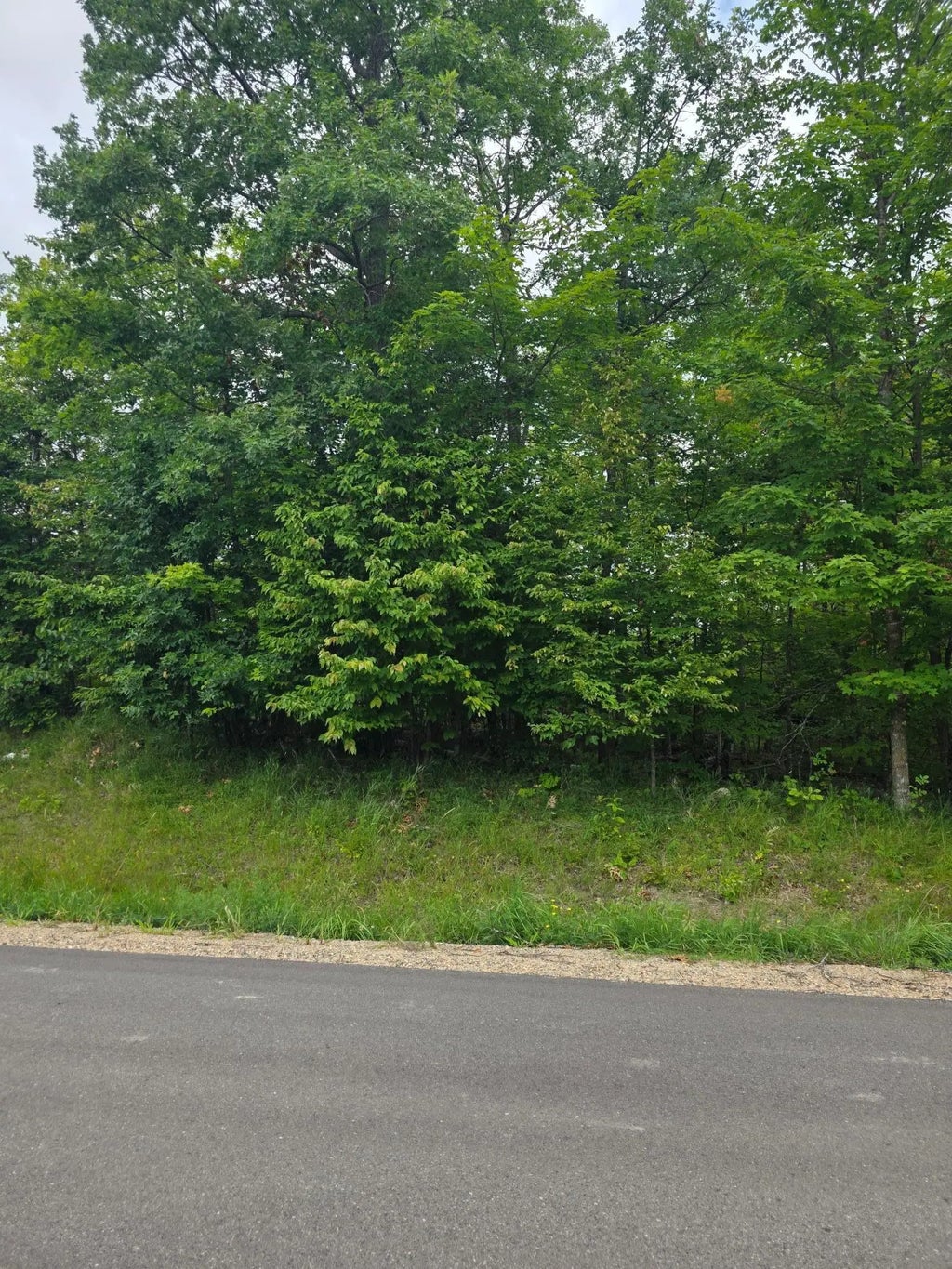 Tbd Anjonabe Court Se, Ten Lake Twp