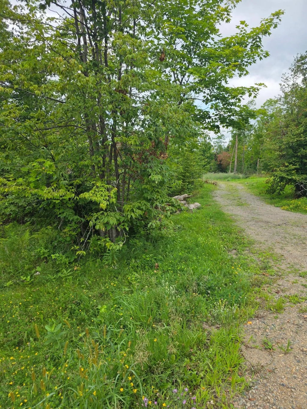 14635 Anjonabe Court Se, Ten Lake Twp