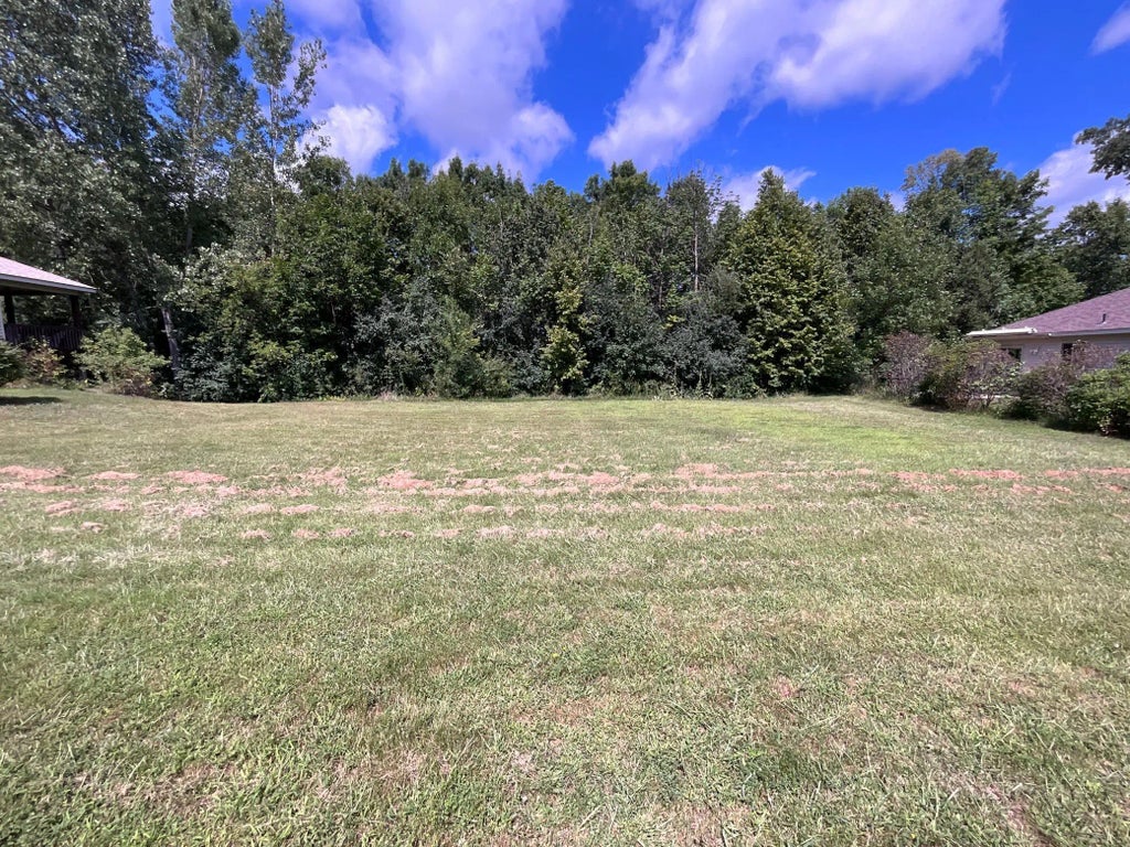 1703 Dale Street, St Joseph