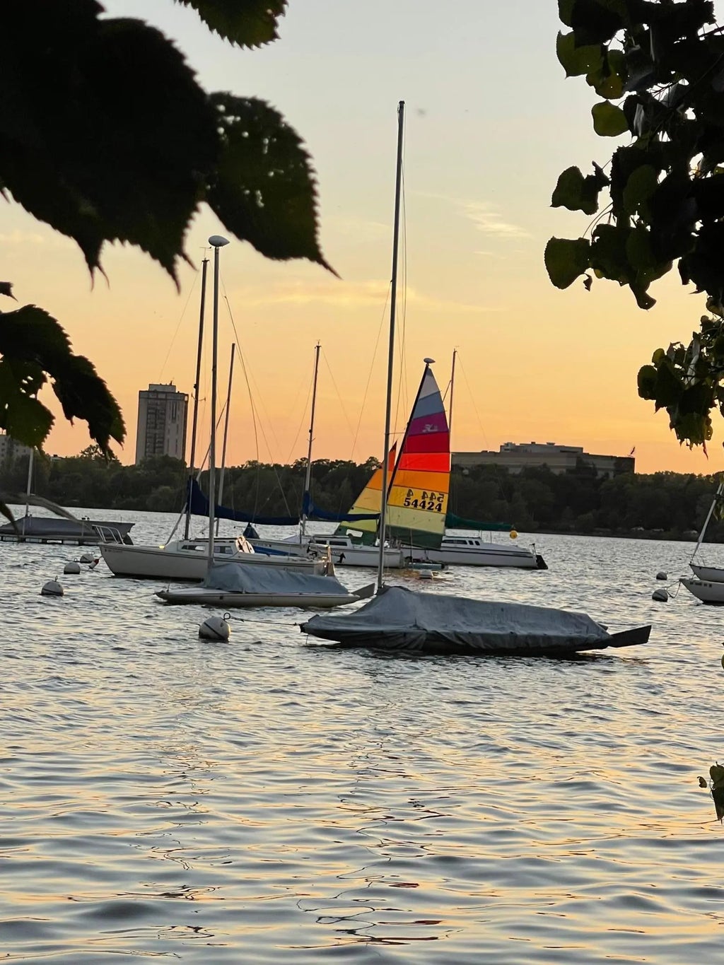 3033 E Bde Maka Ska Parkway 201, Minneapolis