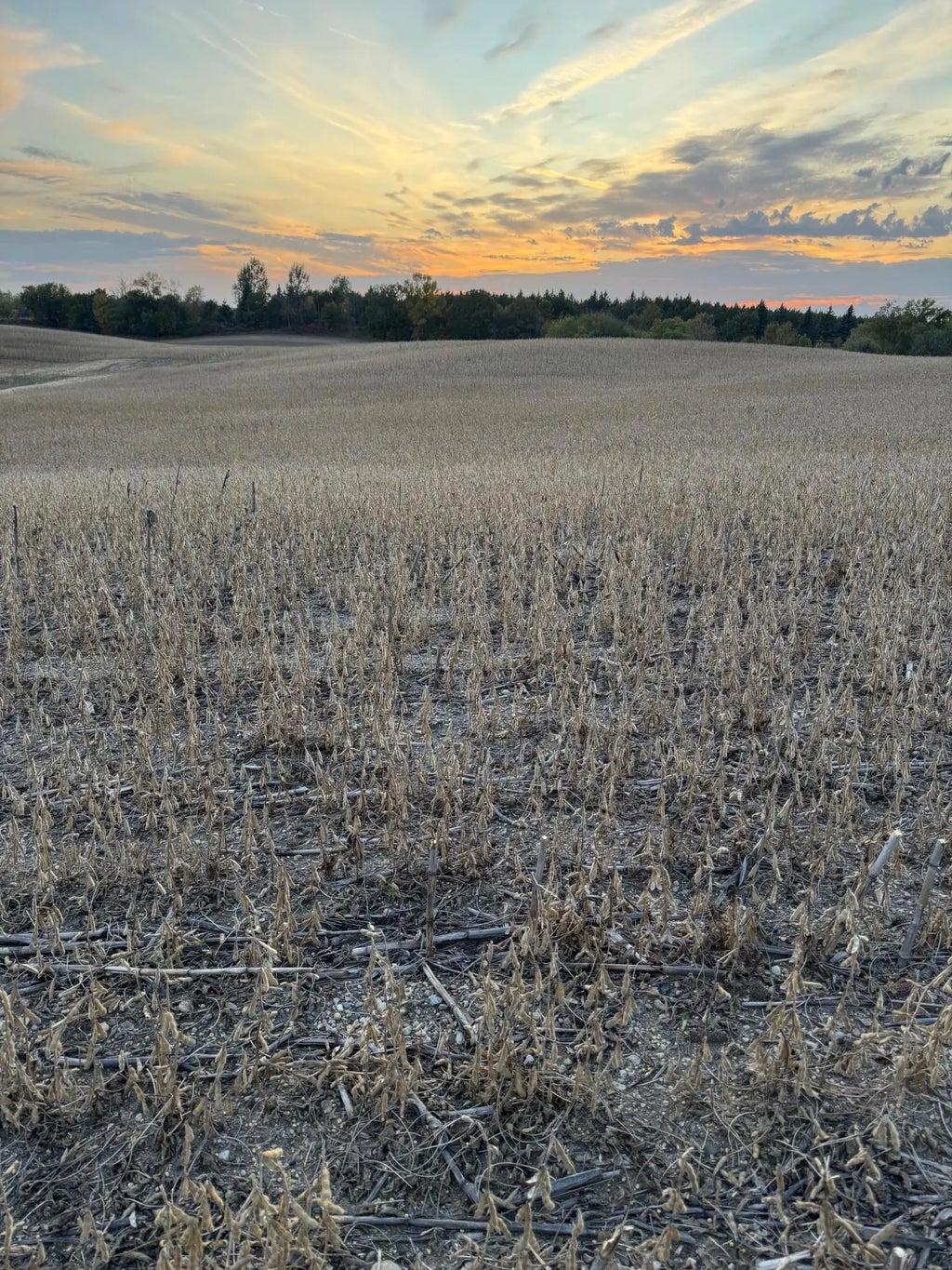 Tbd Placid Drive, Dent