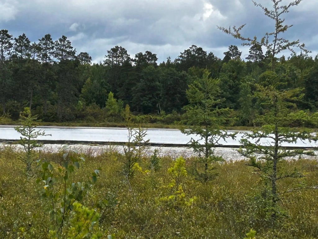 Tbd Kestrel Trail Nw, Hackensack