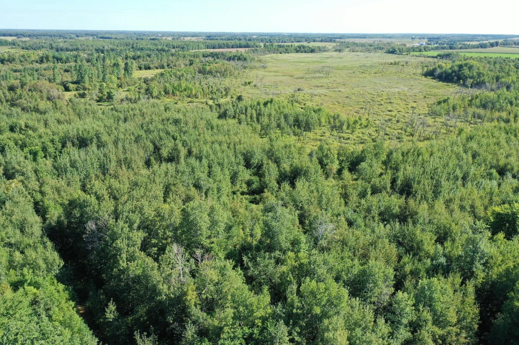 Tbd 385th Street, New York Mills