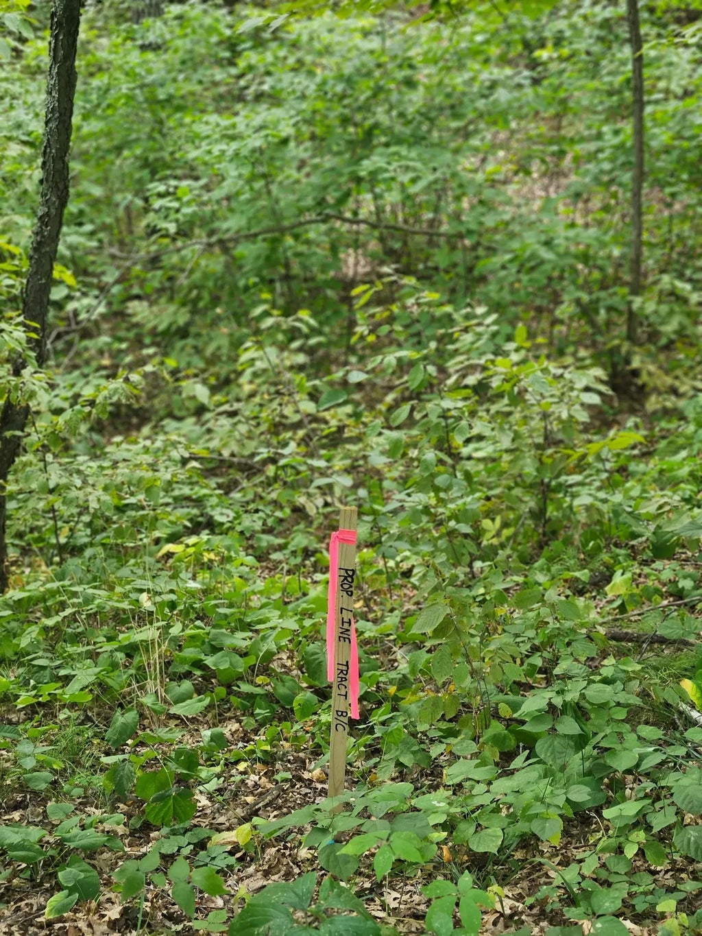 Tract B Richfield Road Sw, Pillager