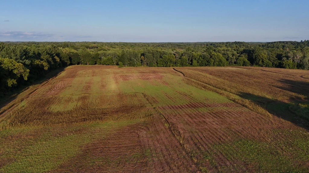 37xxx Verdin Street Nw, Maple Ridge Twp