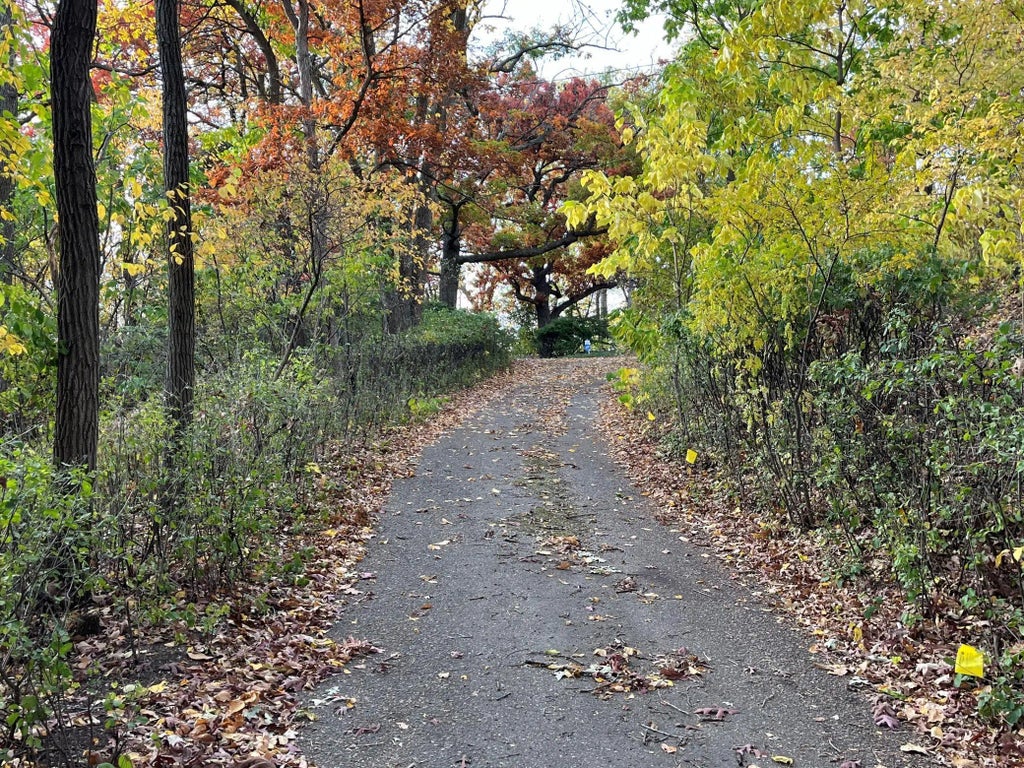 5338 Highland Road, Minnetonka