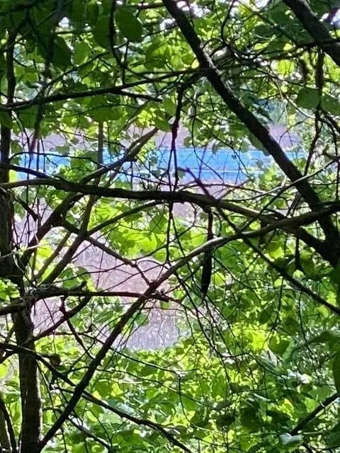 20011 Nevada Avenue, Credit River Twp