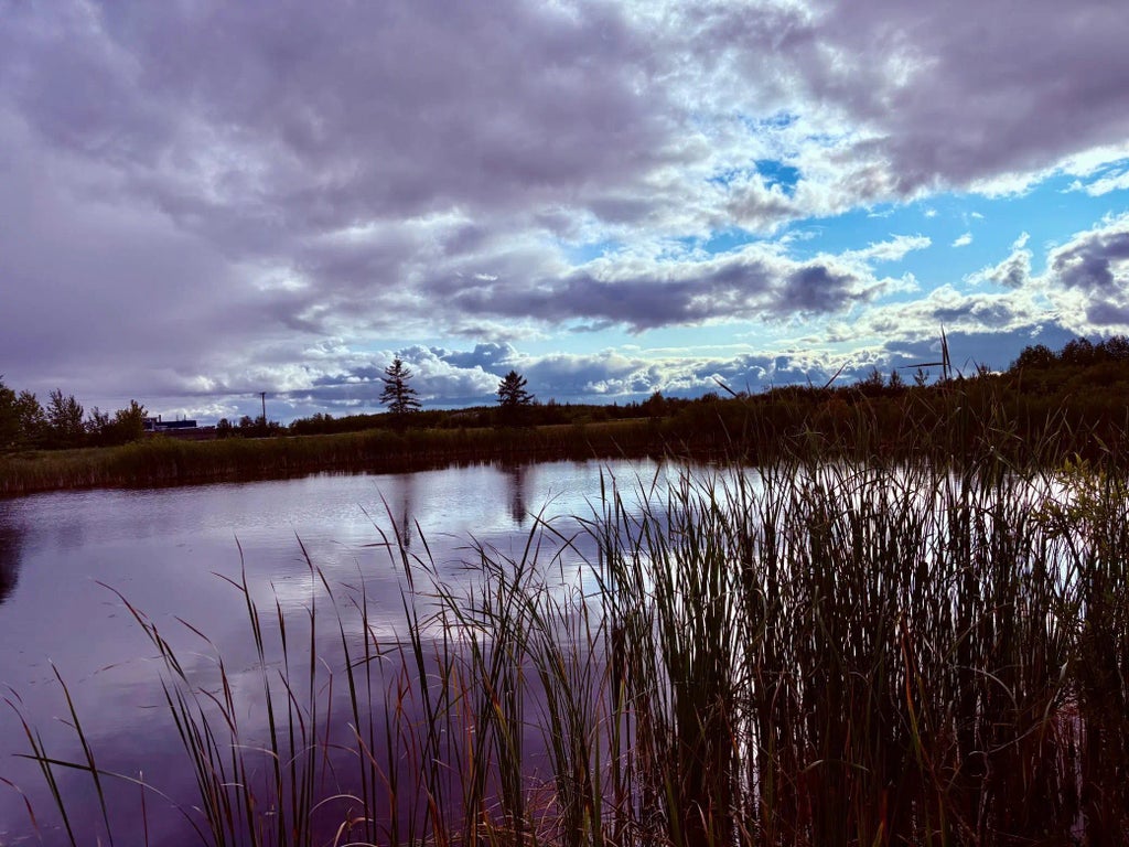 Tbd 7th St Sw, Baudette