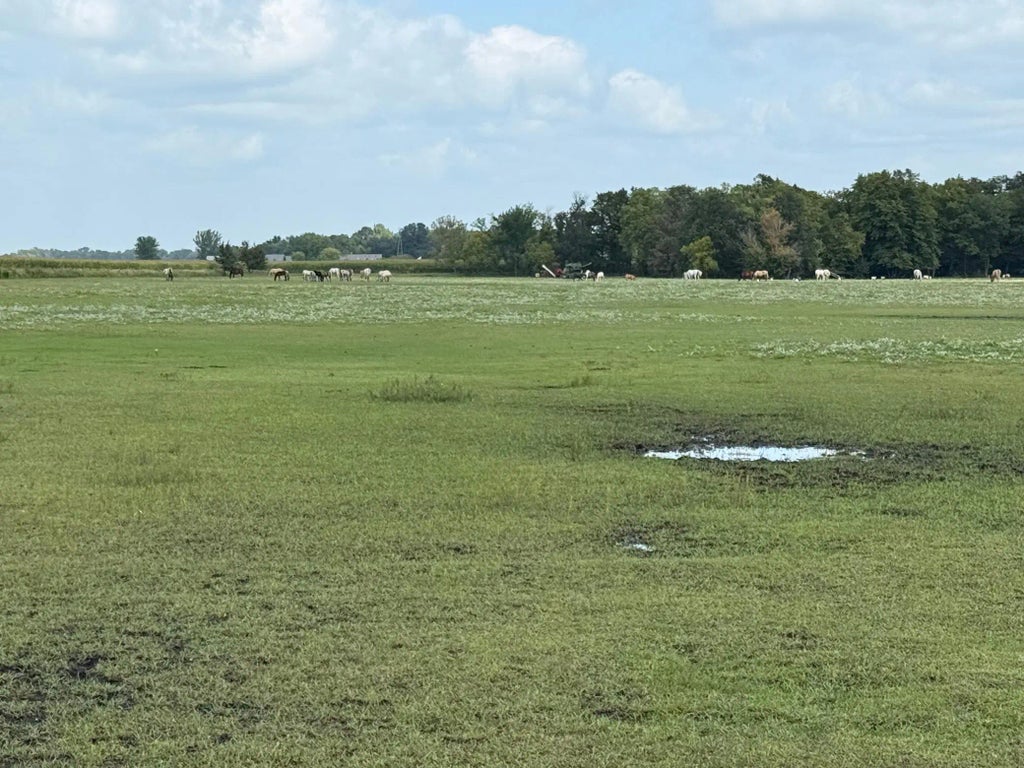 38388 512th St, North Mankato