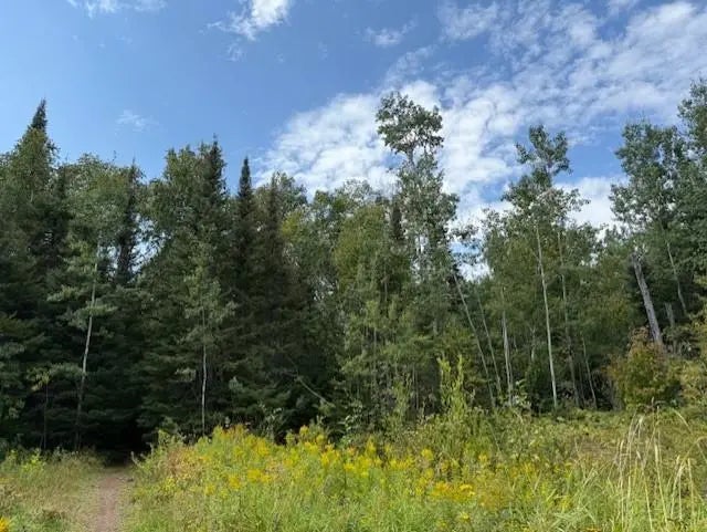 10xx W 4th St, Grand Marais