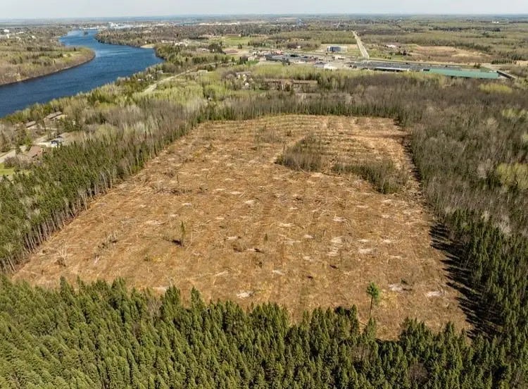 Tbd Shorewood Drive, International Falls