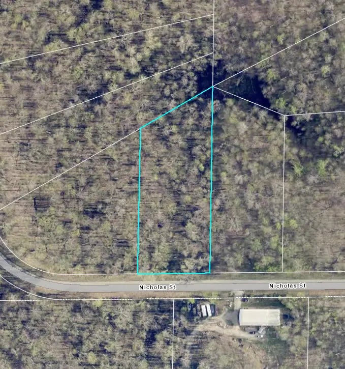 Xxx Nicholas Street, Grand Rapids