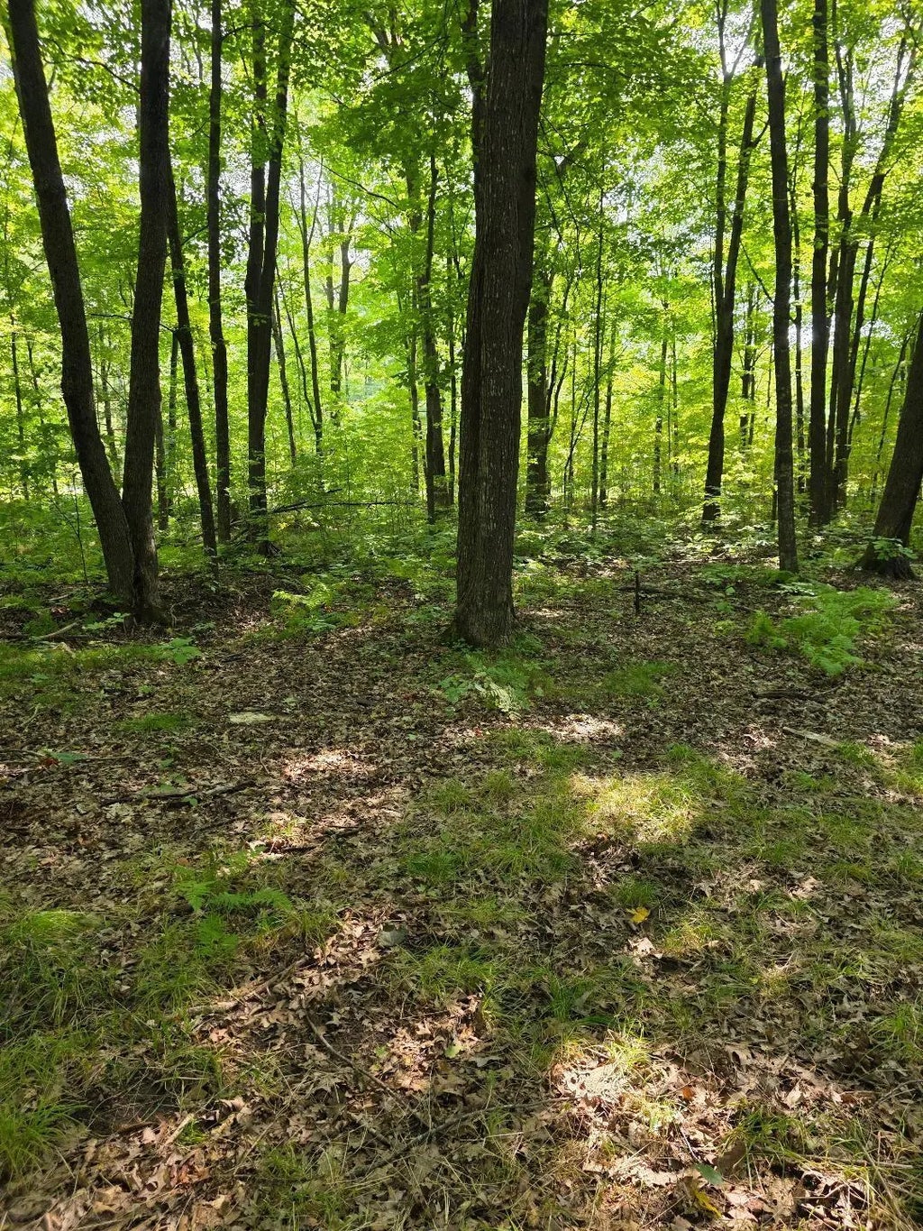 30th Street, Cumberland