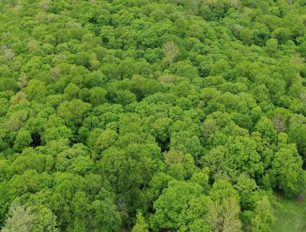 (lot 10) Tbd Ne Rock Lake Road, Rochert