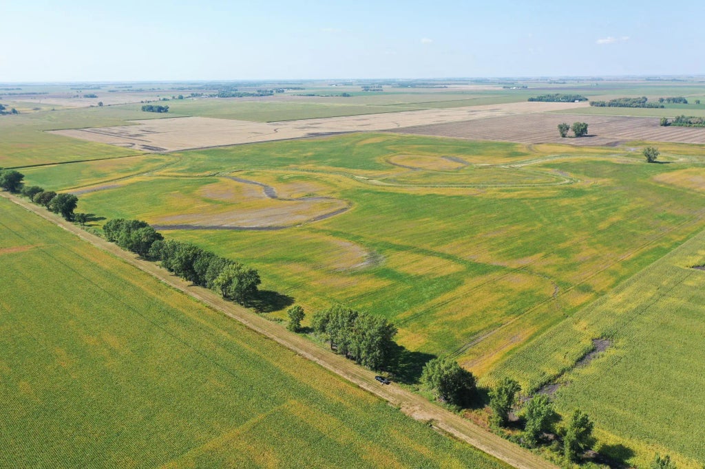 Tbd County 8, Brandrup Twp