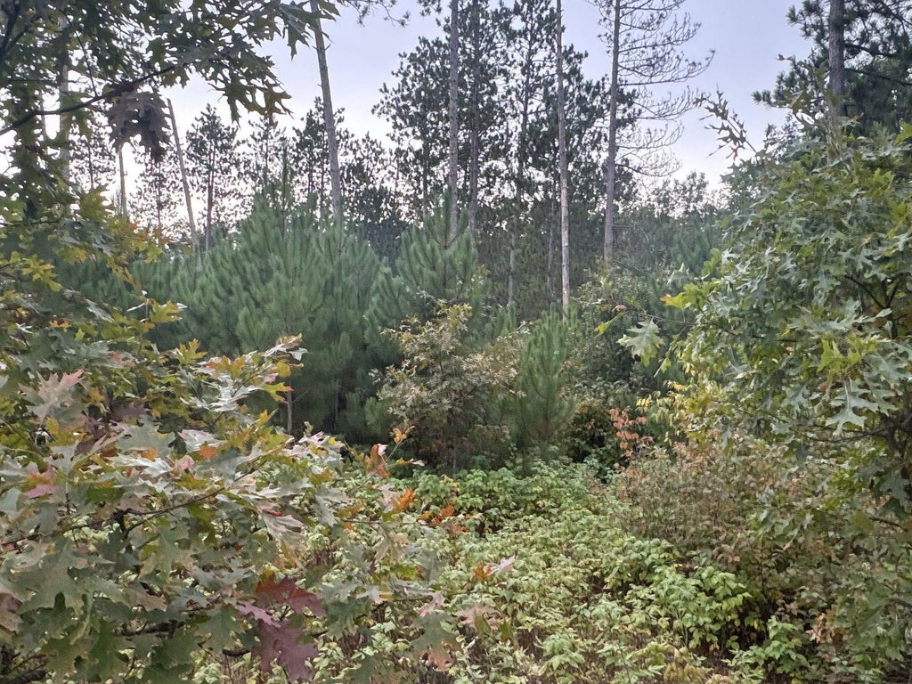 Tbd Hayden Lake Road, Oakland