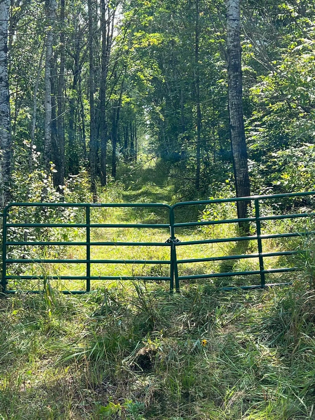 Tbd W County Road 3, Ray