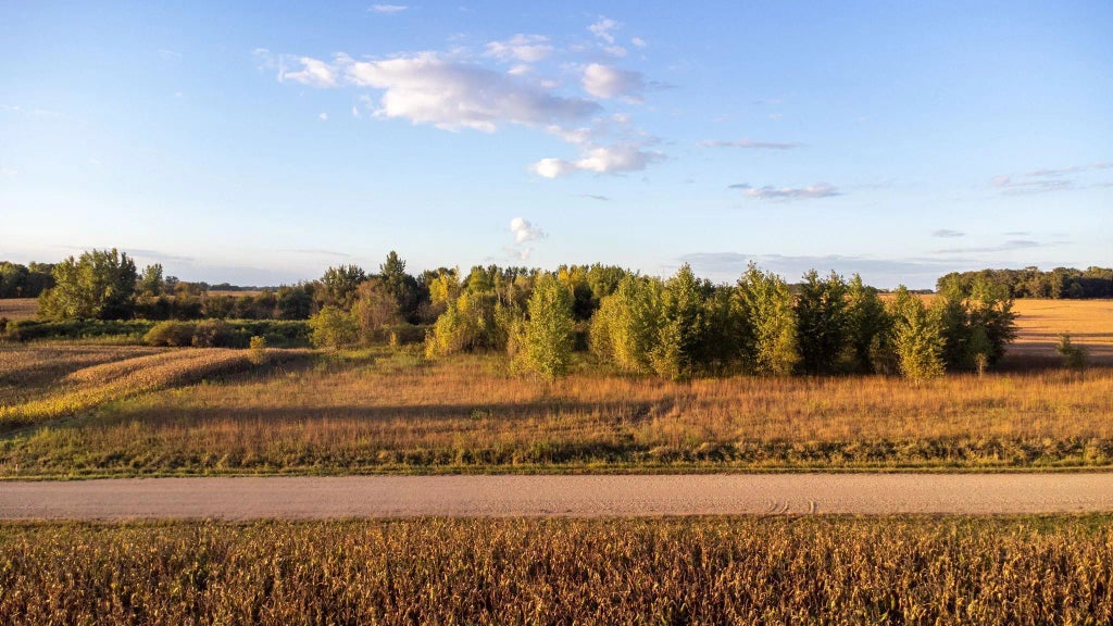 Xxx 225th Street, Litchfield