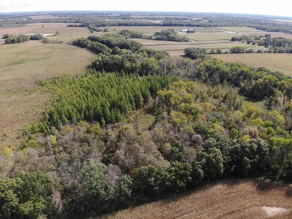 Tbd 150th Street, Aldrich Twp