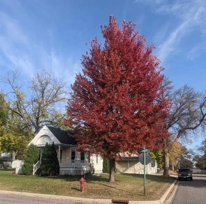 801 Carver Street N, Winthrop