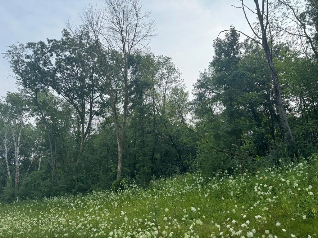 6167 Lake Drive, Prior Lake