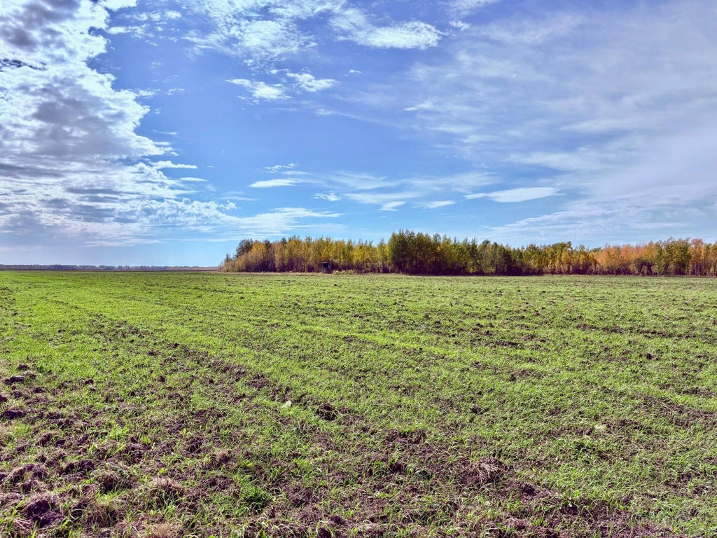 Tbd 13th Ave Sw, Baudette