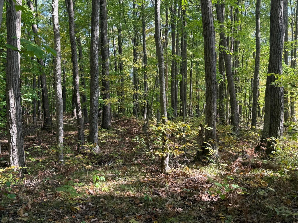 Tbd2 Deep Lake Road, Madge Twp