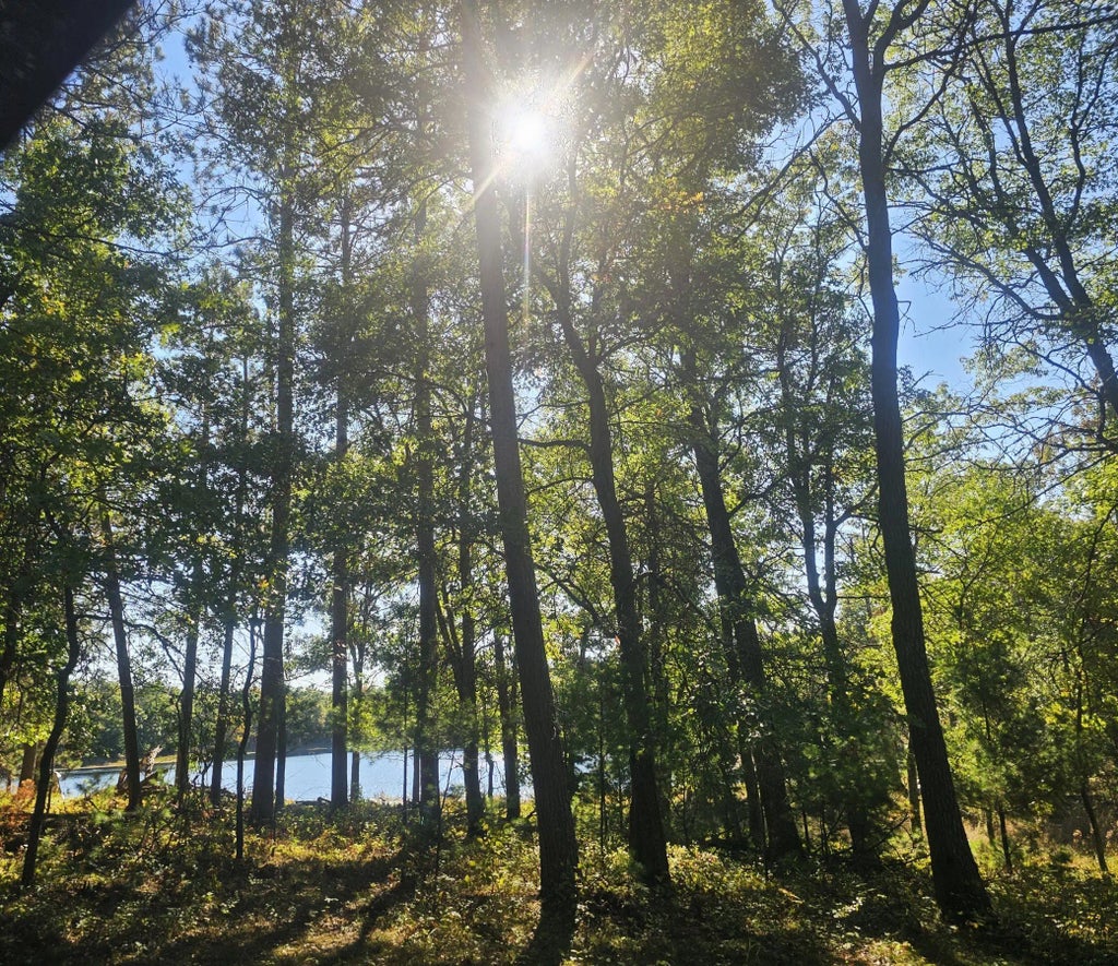 Xxx County Road H Road, Scott Twp