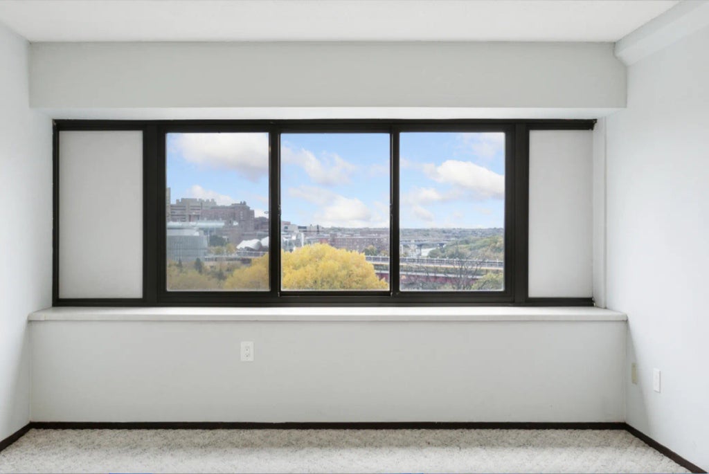 1920 S 1st Street 707, Minneapolis