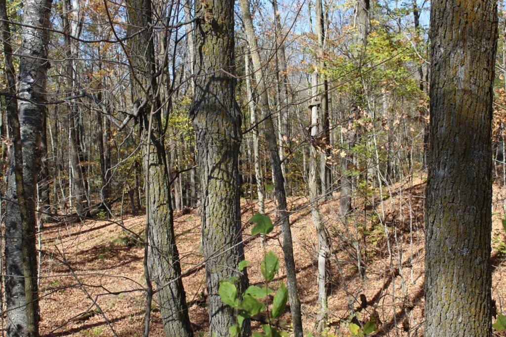 Tbd Woods Road, Isle