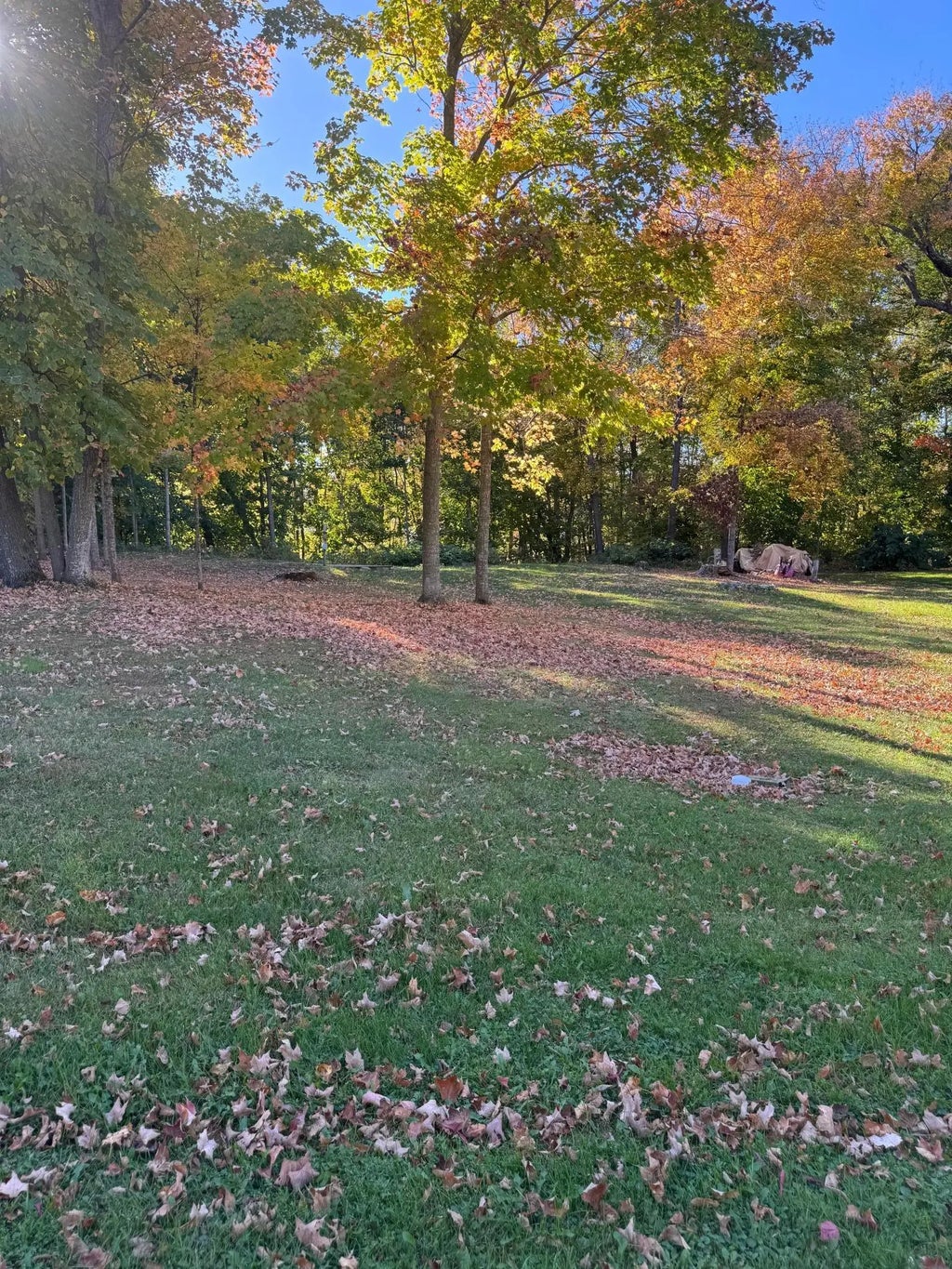 46775 Earle Brown Drive, Kathio Twp